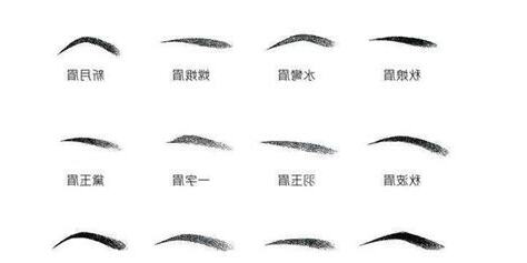 眉毛 面向